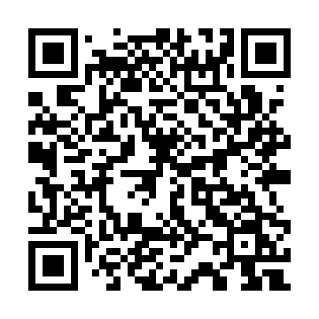 QR code for 729QPN