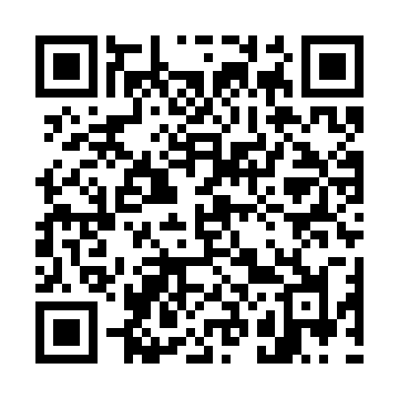 QR code for 729SBJ