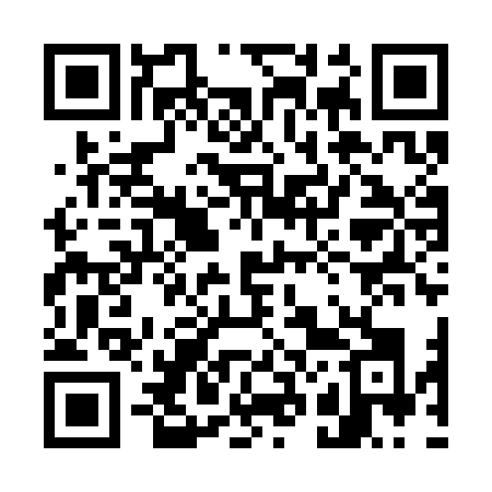QR code for 729SNK