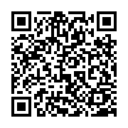 QR code for 737COU