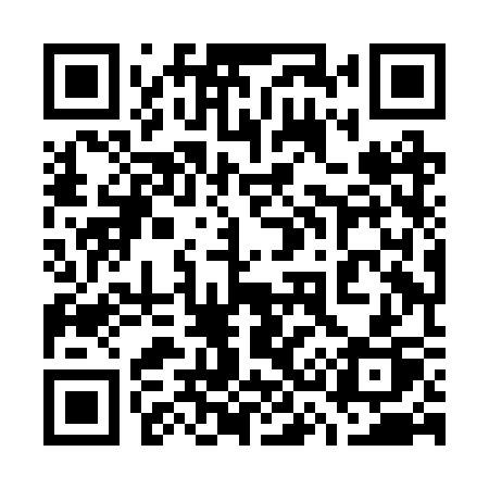 QR code for 738BSP