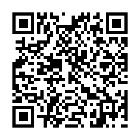 QR code for 738REP