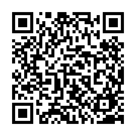 QR code for 768PAG