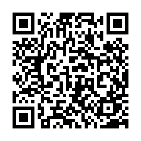 QR code for 768PPT