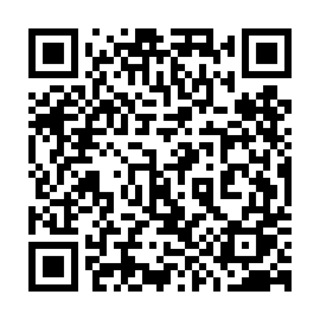 QR code for 795DDQ