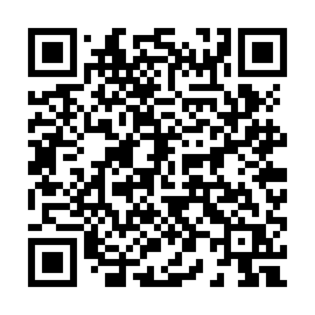 QR code for 807ZAR