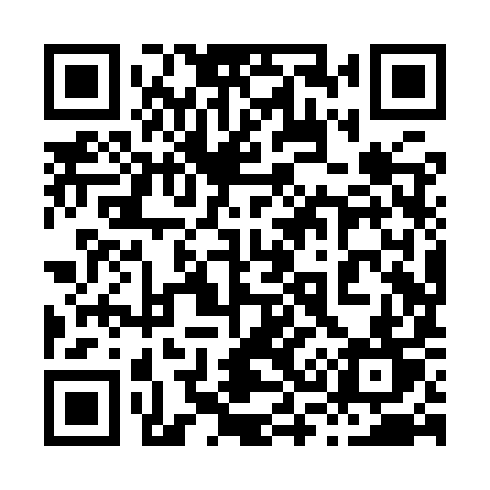 QR code for 838YYT