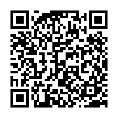 QR code for 863PIS