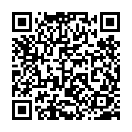QR code for 868DIZ
