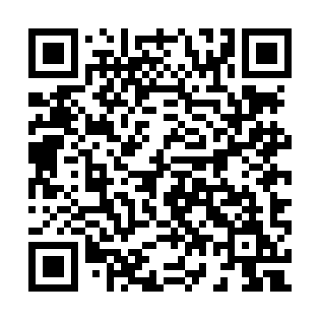 QR code for 875LIM