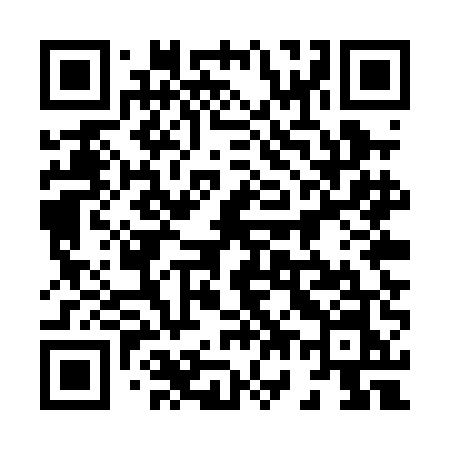 QR code for 875PEN