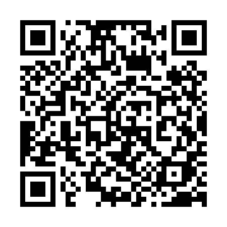 QR code for 893PPI