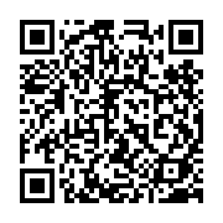 QR code for 911DII