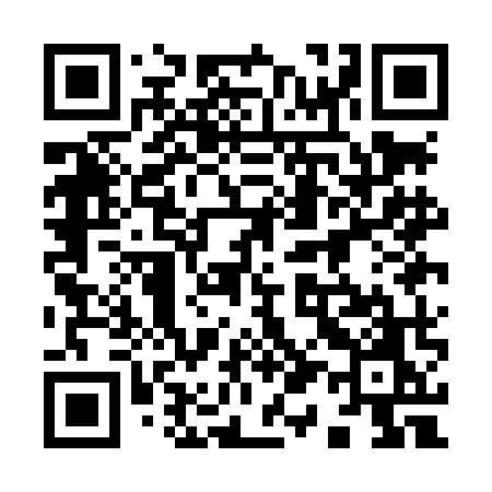 QR code for 911LMO