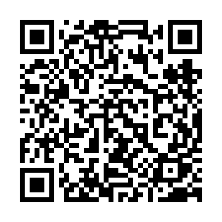 QR code for 911VEP