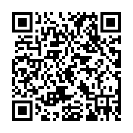 QR code for 913MSV