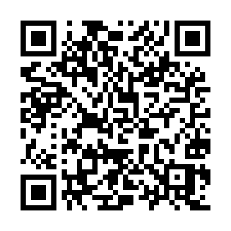 QR code for 917MIS