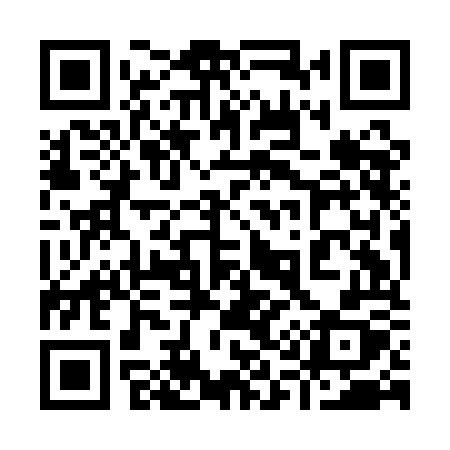 QR code for 919AOX