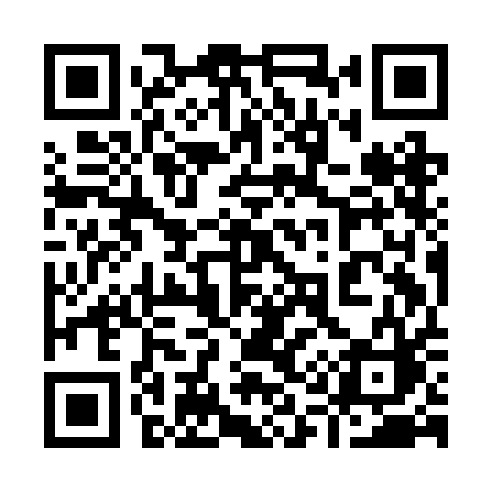 QR code for 919BAC