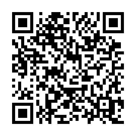 QR code for 919CHF
