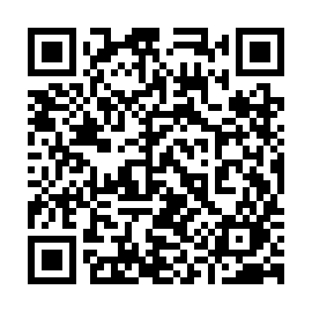 QR code for 919CIO