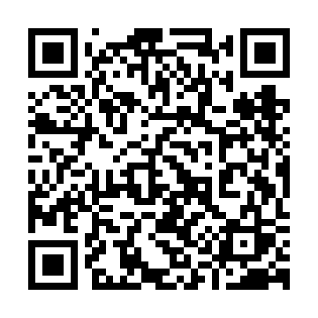 QR code for 919FCS