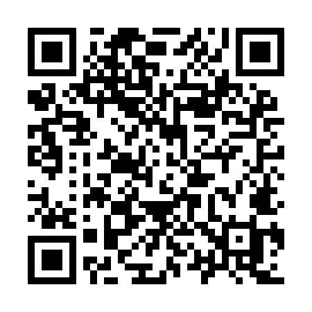 QR code for 919IMI