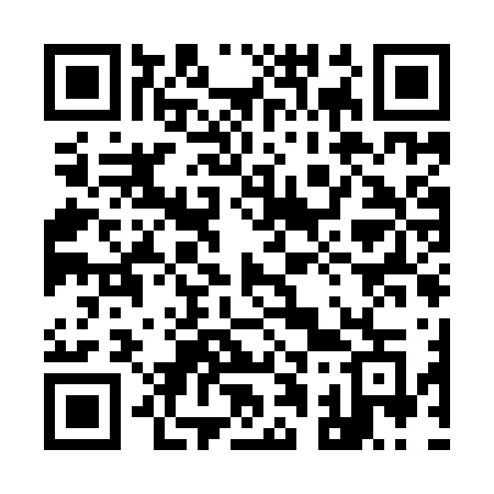 QR code for 919IVG