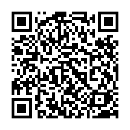 QR code for 919LCK