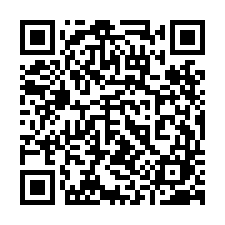 QR code for 919LDM