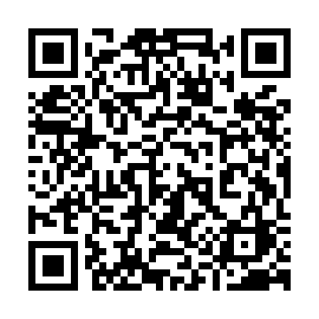 QR code for 919MCC
