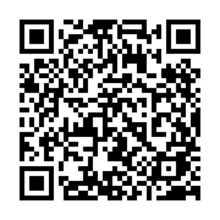 QR code for 919PMA