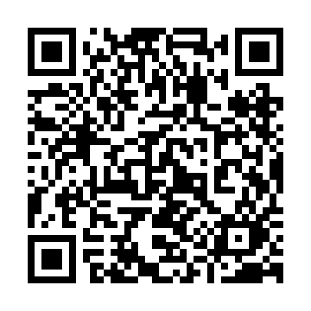 QR code for 919RAO