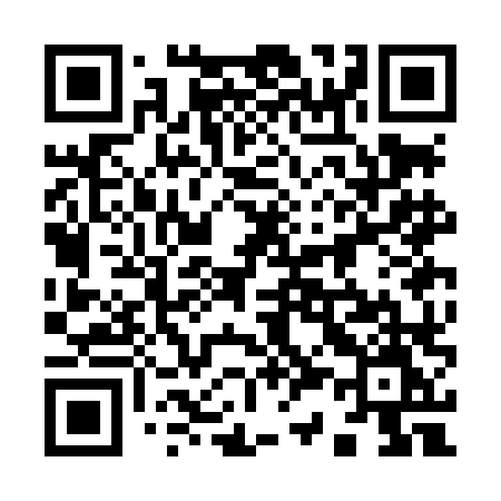 QR code for 933LLM