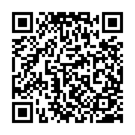 QR code for 938MMP