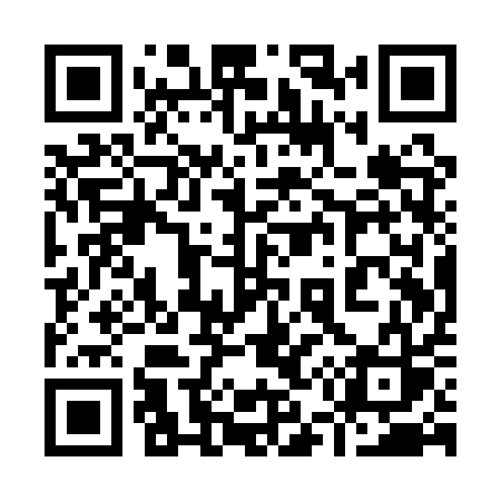 QR code for 951QQS