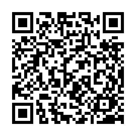 QR code for 951ZGO