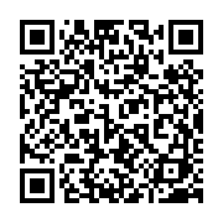 QR code for 953PVI