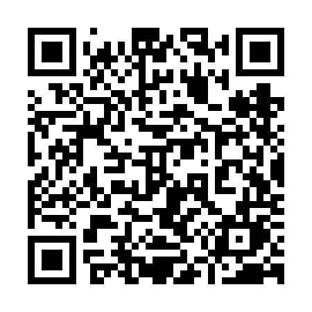 QR code for 953VOL