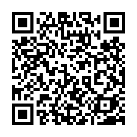 QR code for 954DSI