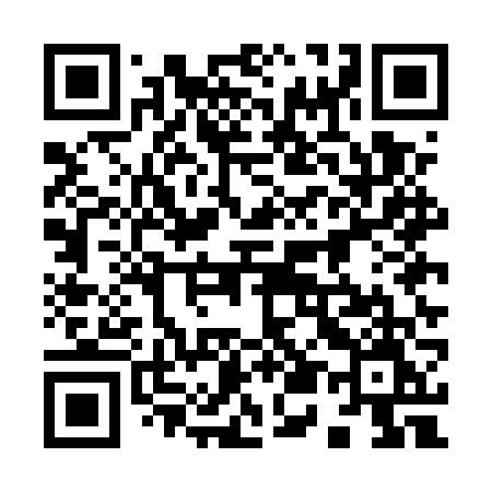 QR code for 955EVM