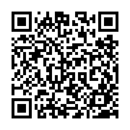 QR code for 955GIN