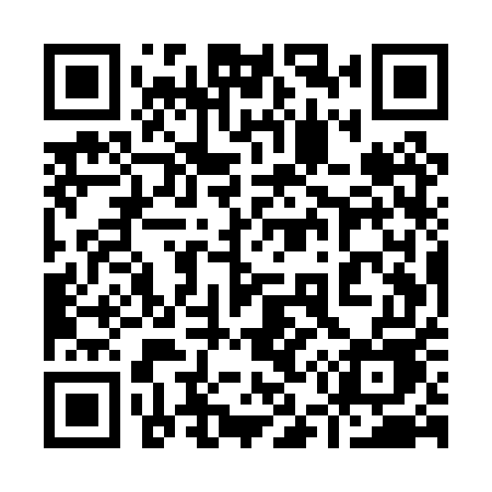 QR code for 955PUE