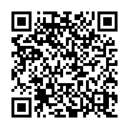 QR code for 965MSX