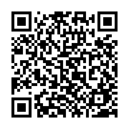 QR code for 966MID