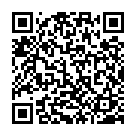 QR code for 966USS