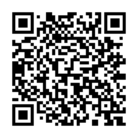 QR code for 981PAI