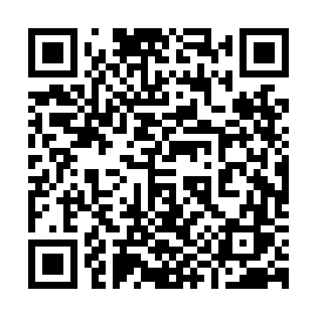 QR code for 990LFS