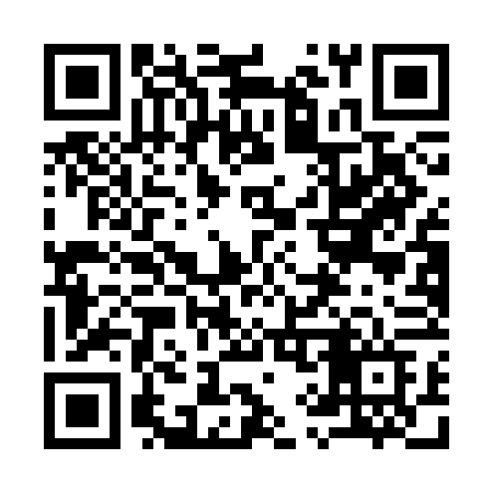 QR code for 991CFF