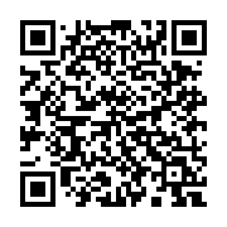 QR code for 991DML